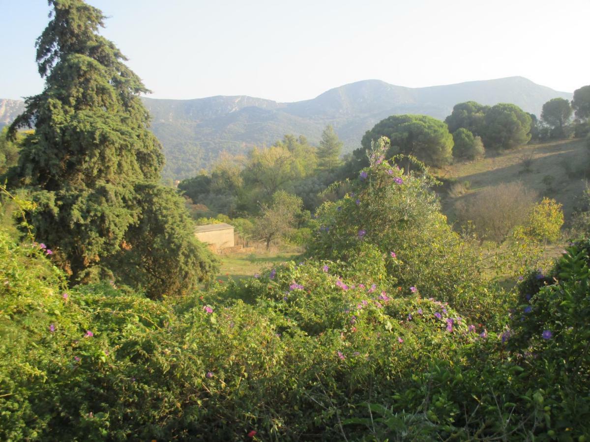 Coin De Paradis Quinta do Anjo Εξωτερικό φωτογραφία