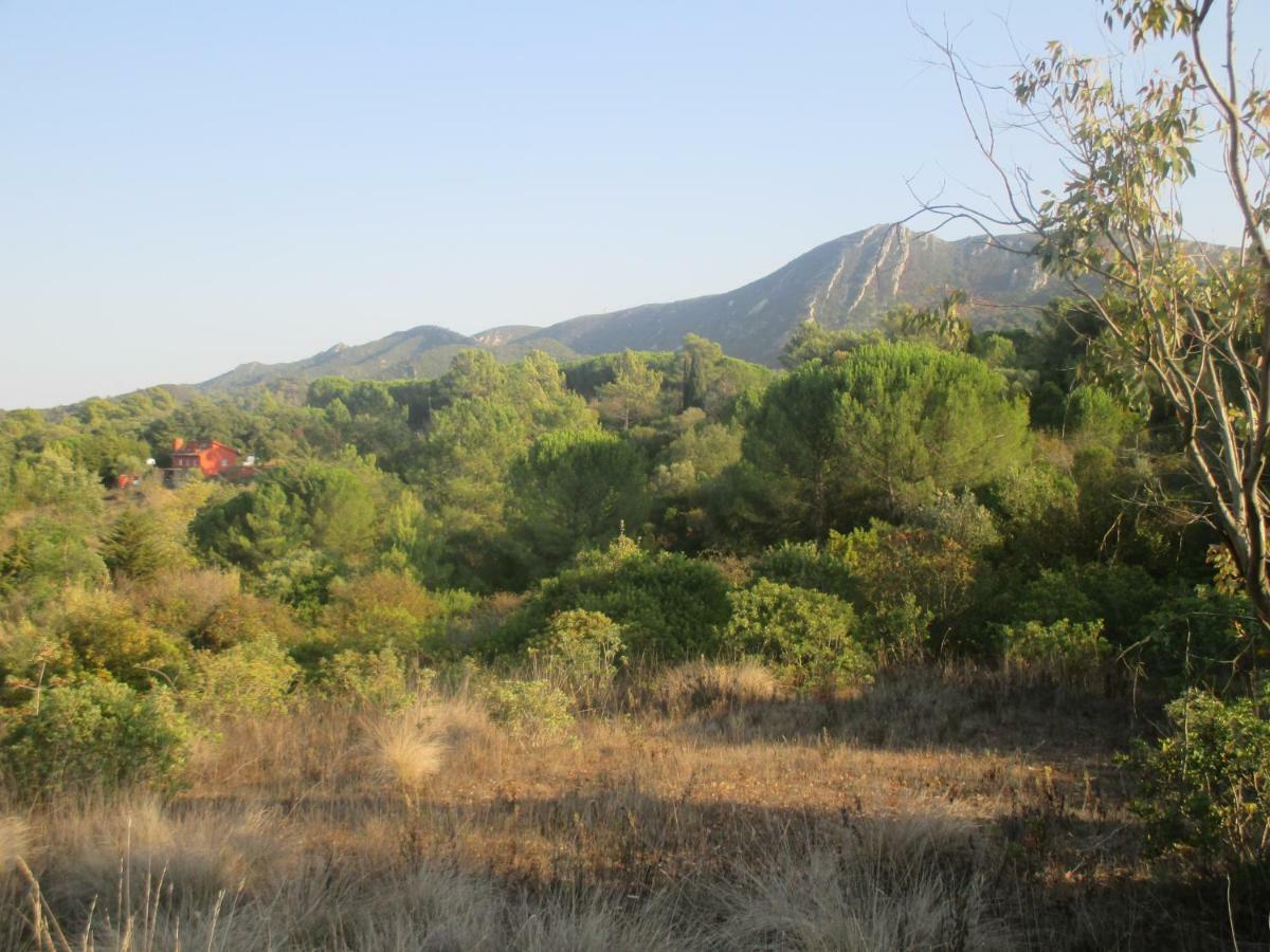 Coin De Paradis Quinta do Anjo Εξωτερικό φωτογραφία